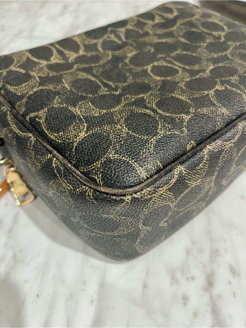 Carey Crossbody Bag
In Loved Signature Canvas With Charms - Picture 14 of 16